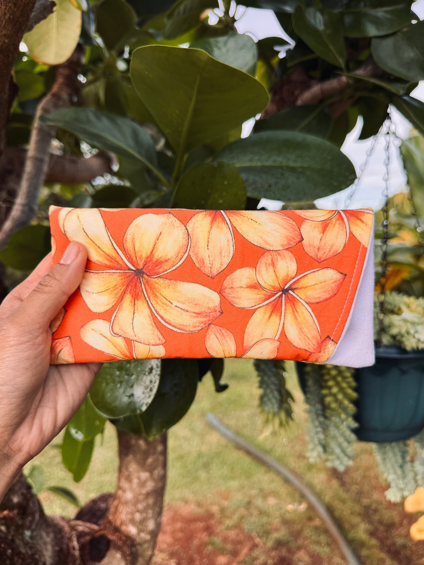 Sunnies case